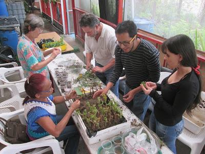 Foto archivo ecohdem